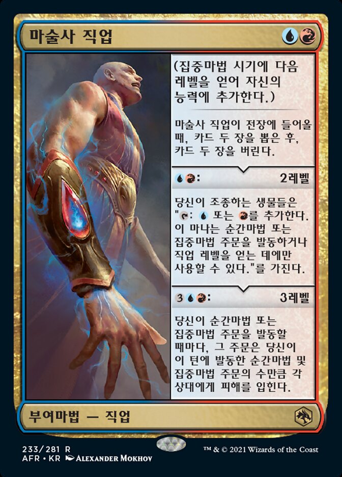 마술사 직업