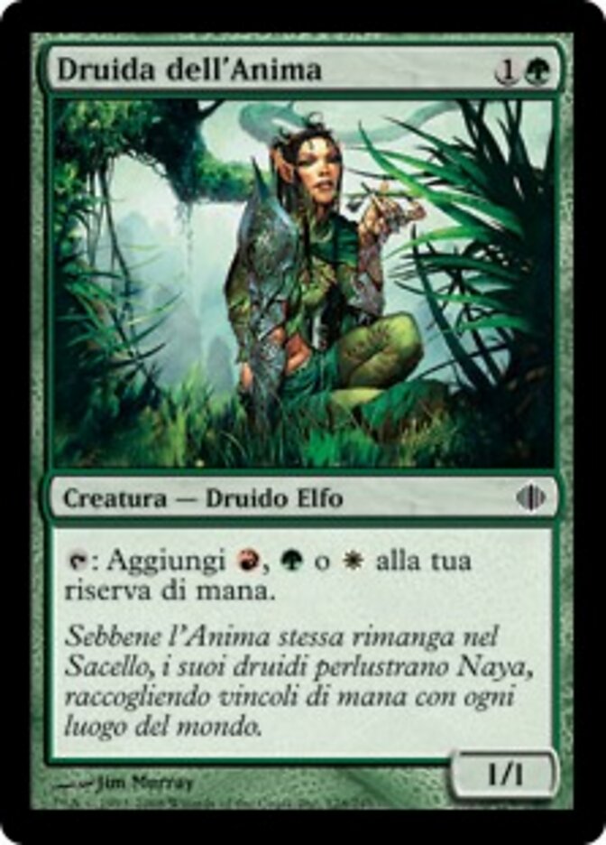 Druida dell'Anima