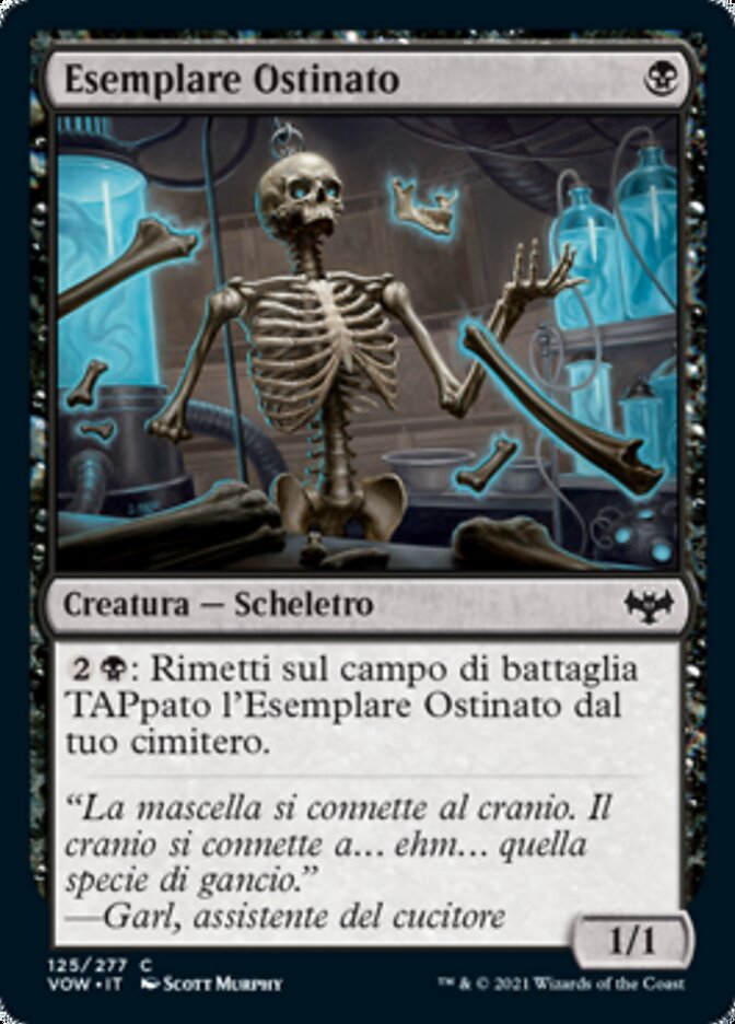 Esemplare Ostinato