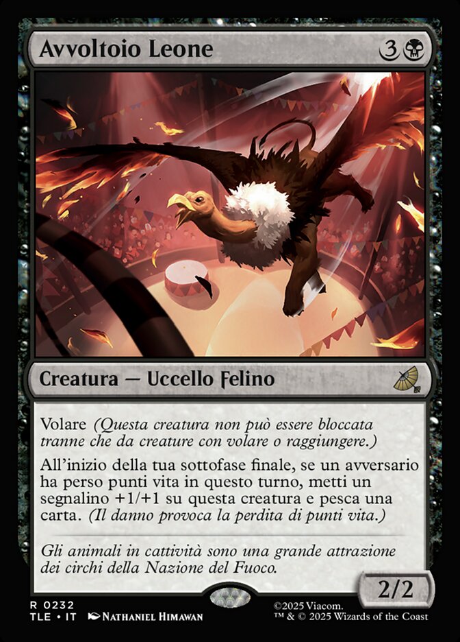 Avvoltoio Leone
