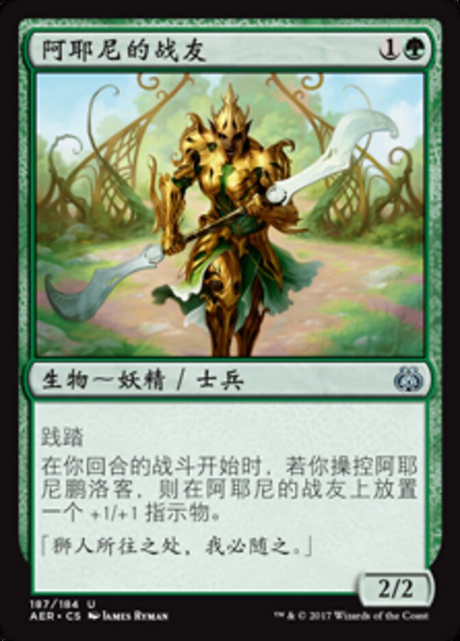 阿耶尼的战友
