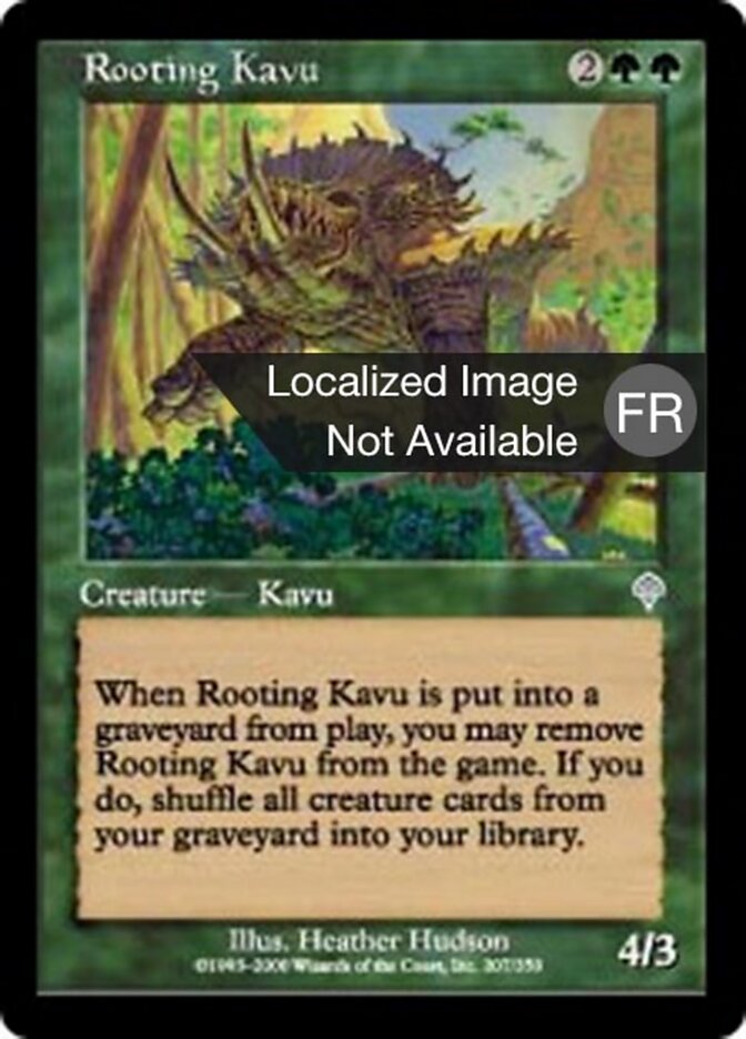 Kavru enracineur