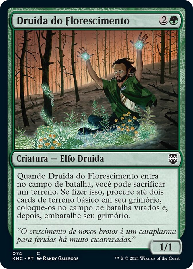 Druida do Florescimento