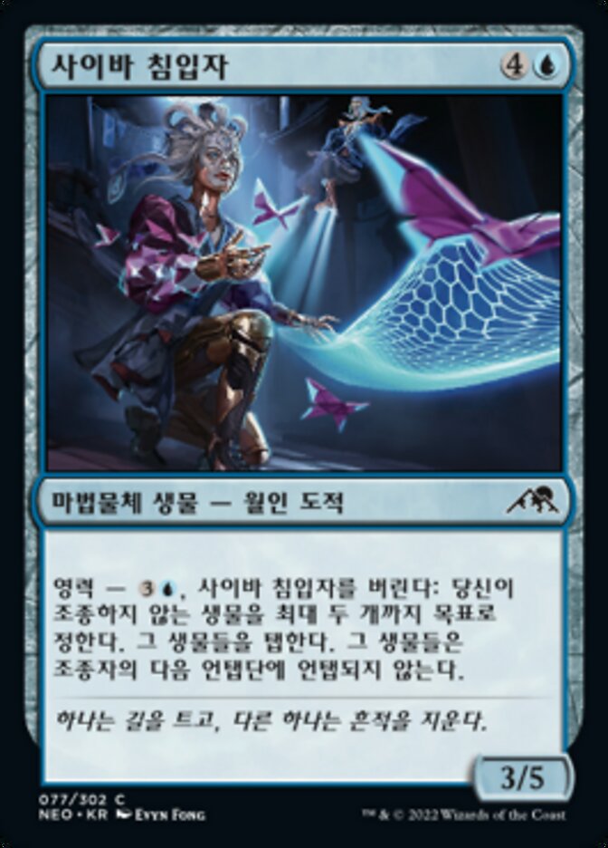 사이바 침입자