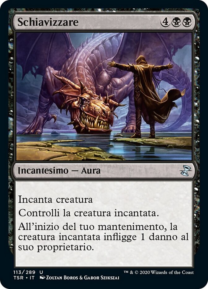 Schiavizzare