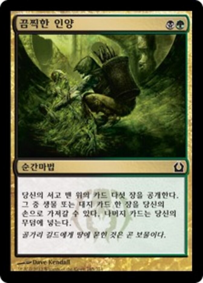 끔찍한 인양