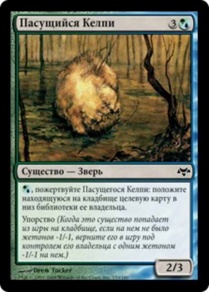 Пасущийся Келпи