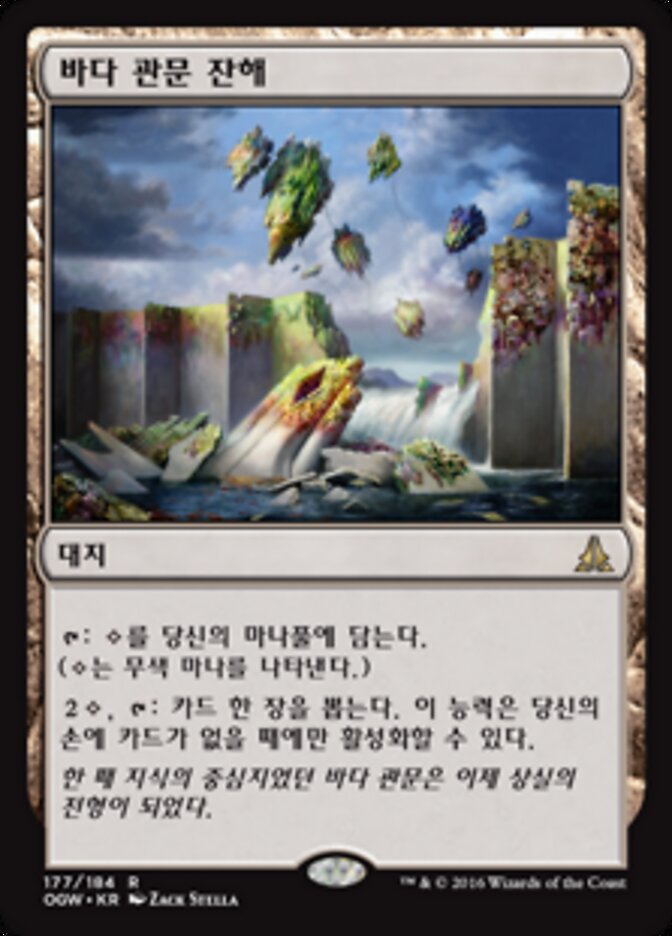 바다 관문 잔해