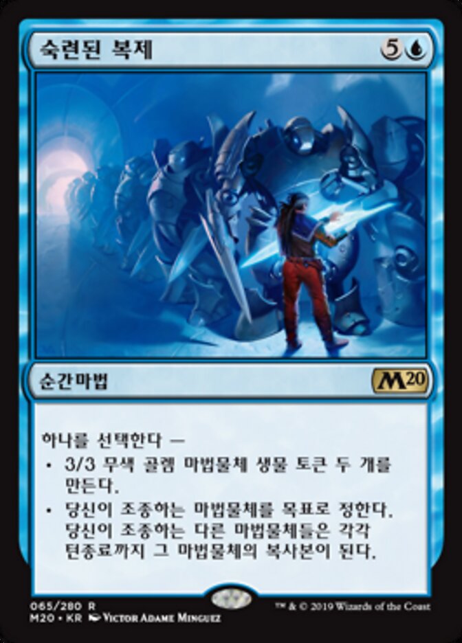 숙련된 복제