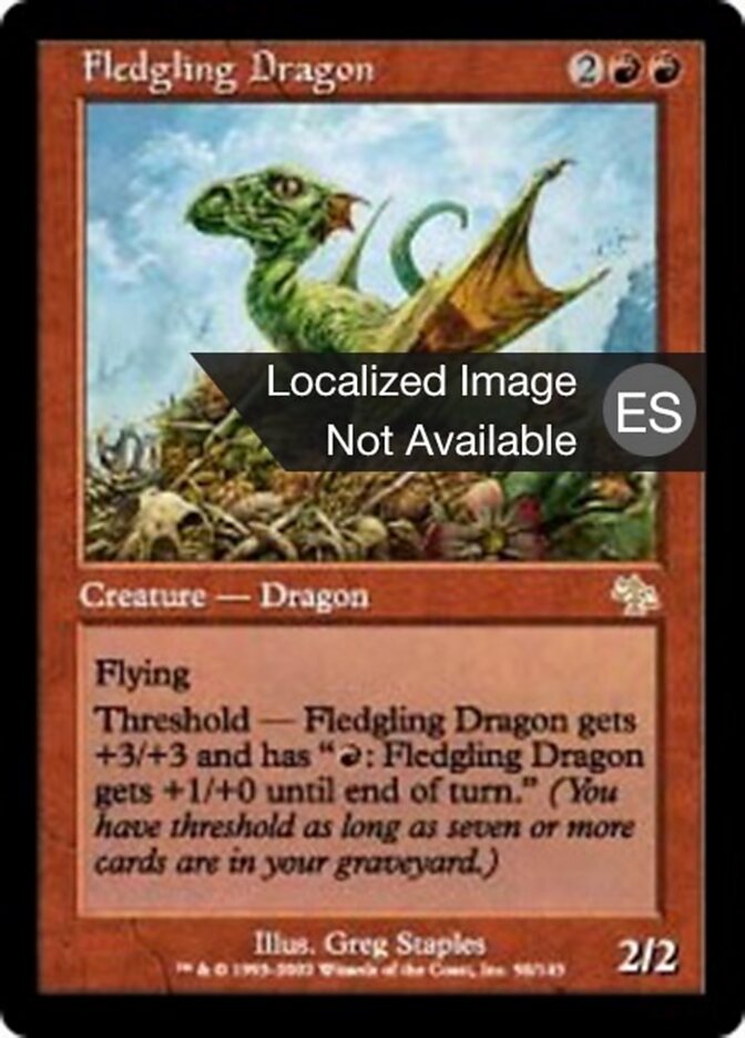 Dragón novato