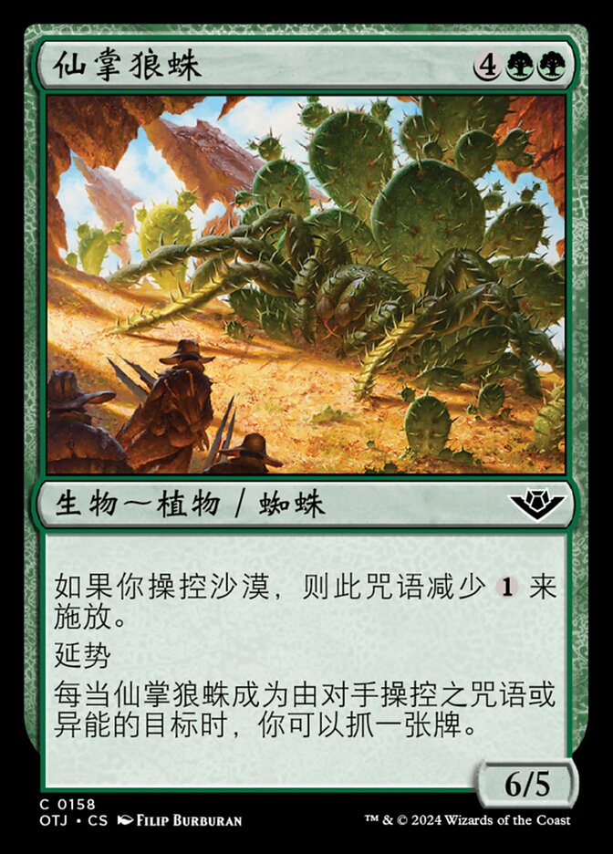 仙掌狼蛛