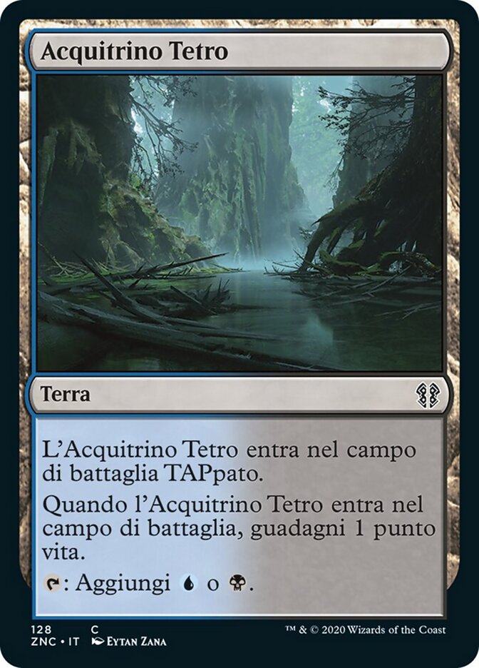 Acquitrino Tetro