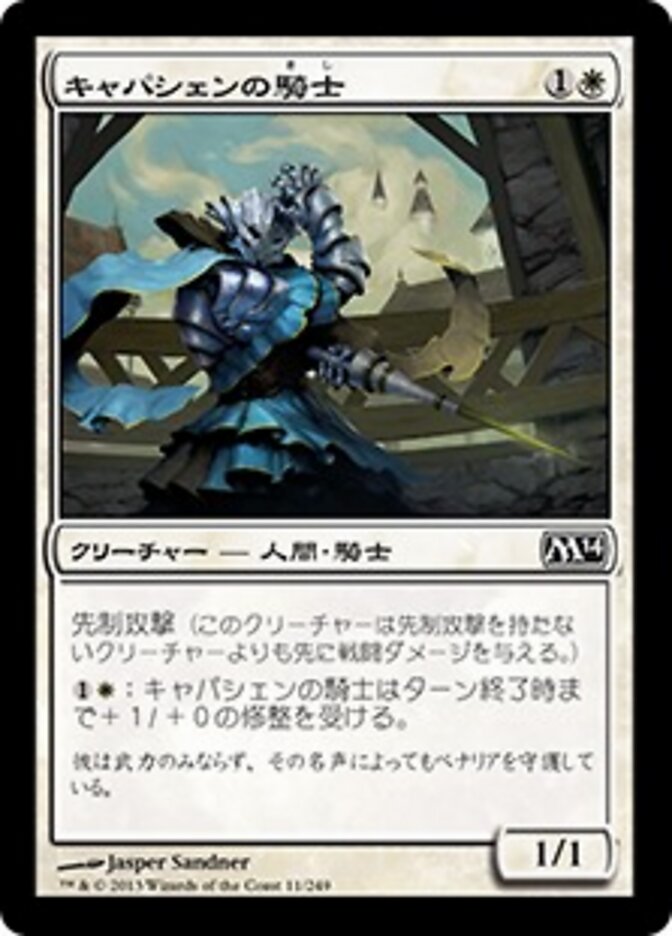 キャパシェンの騎士