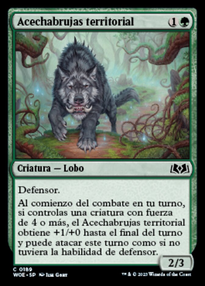 Acechabrujas territorial