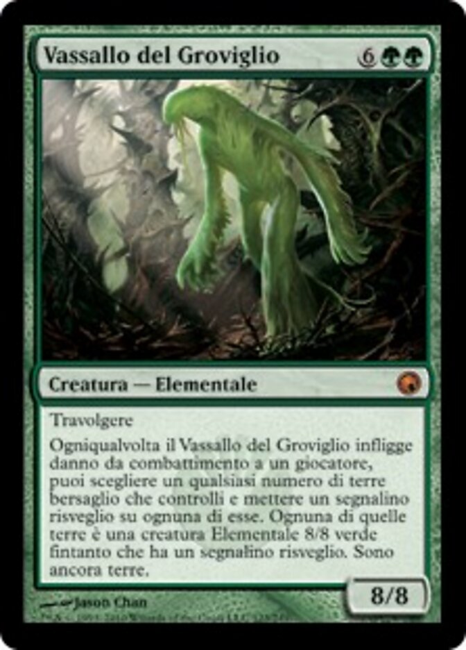 Vassallo del Groviglio