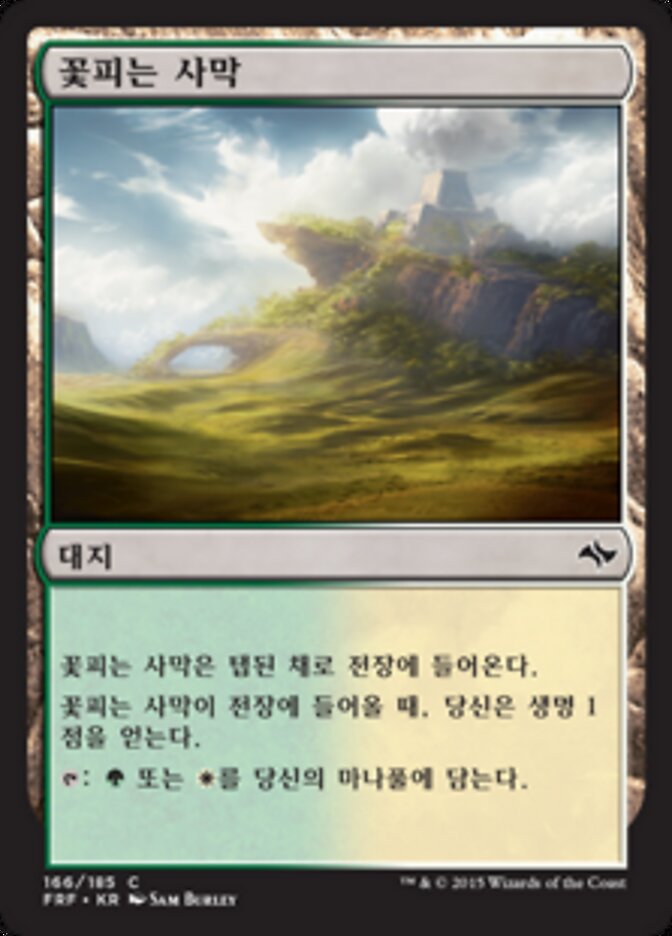 꽃피는 사막