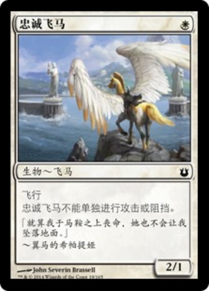 忠诚飞马