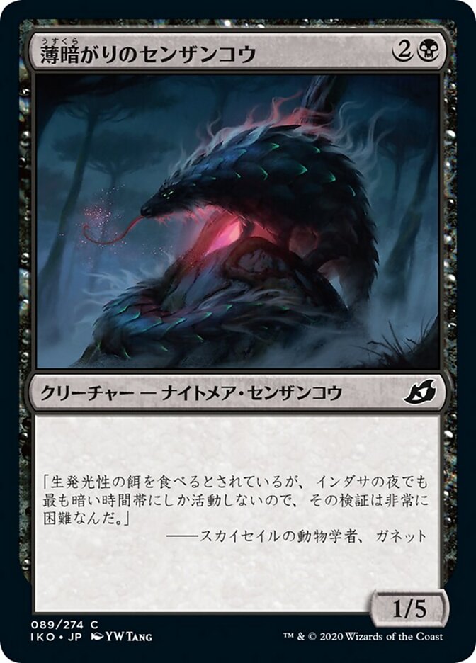 薄暗がりのセンザンコウ