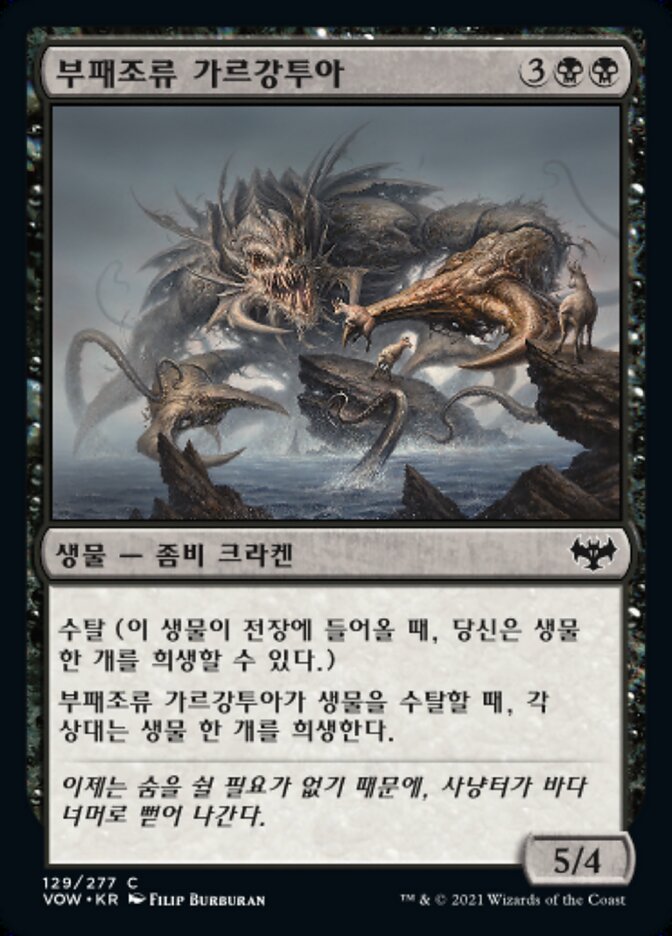 부패조류 가르강투아