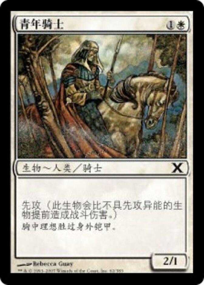 青年骑士