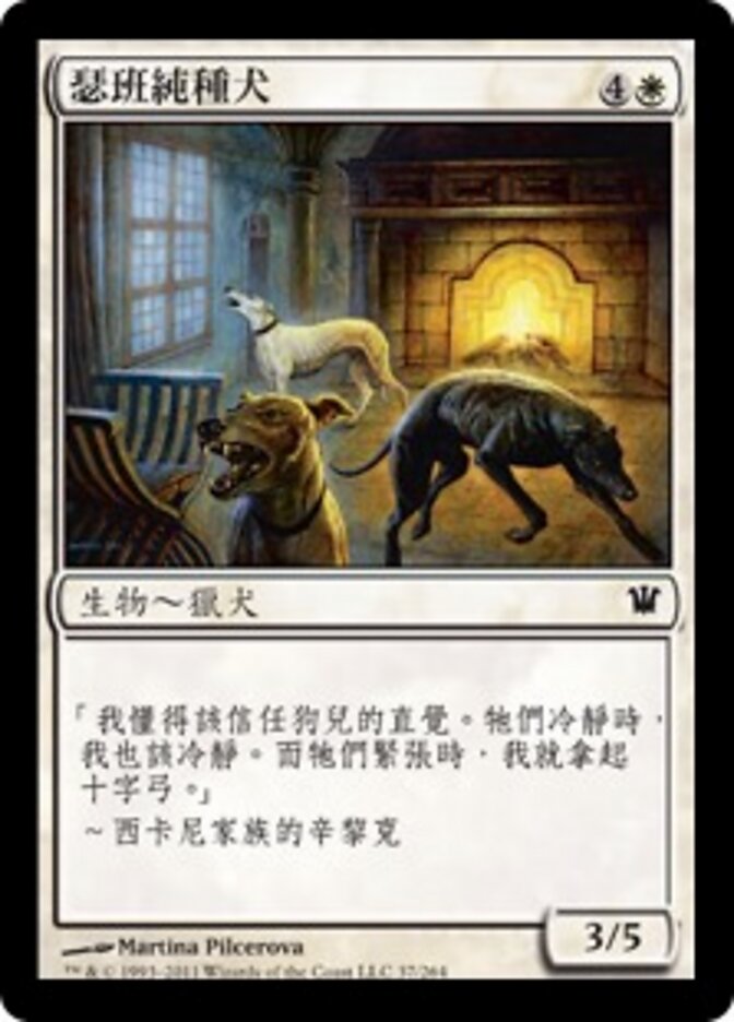 瑟班純種犬