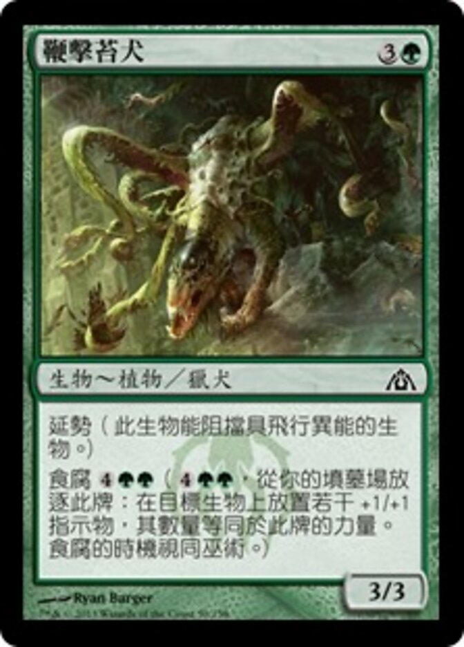 鞭擊苔犬