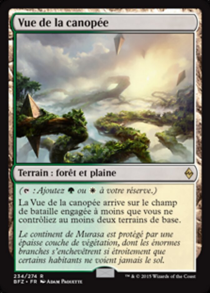 Vue de la canopée