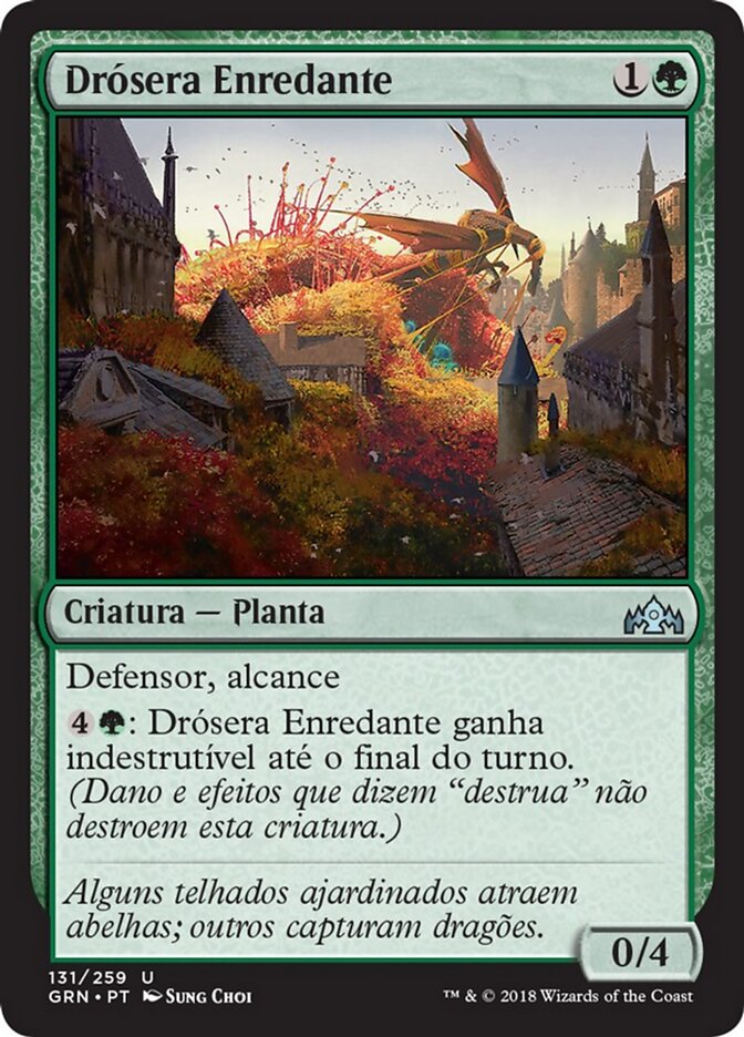 Drósera Enredante
