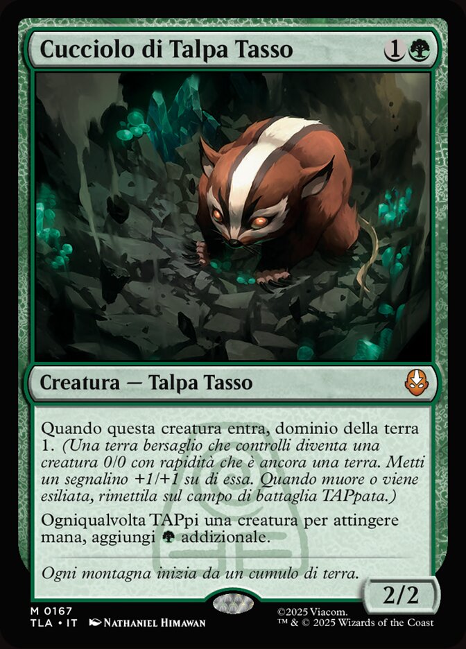 Cucciolo di Talpa Tasso