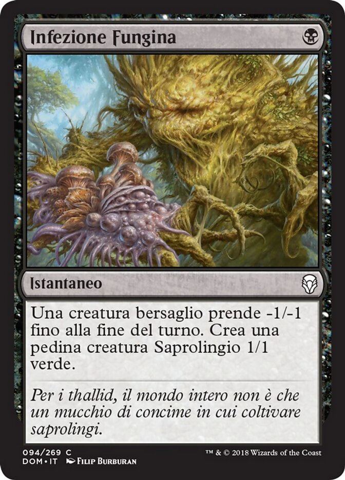 Infezione Fungina