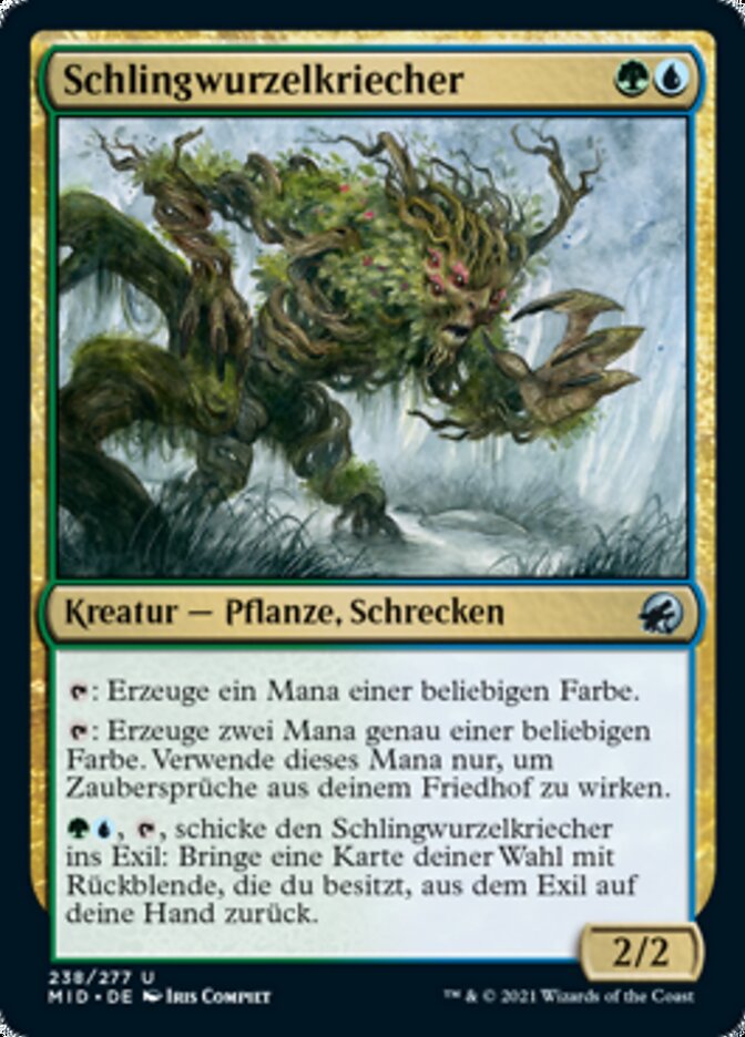 Schlingwurzelkriecher