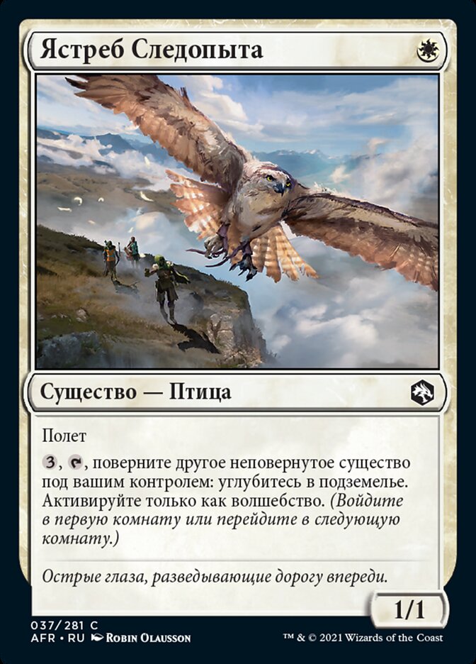 Ястреб Следопыта