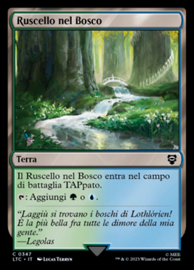 Ruscello nel Bosco