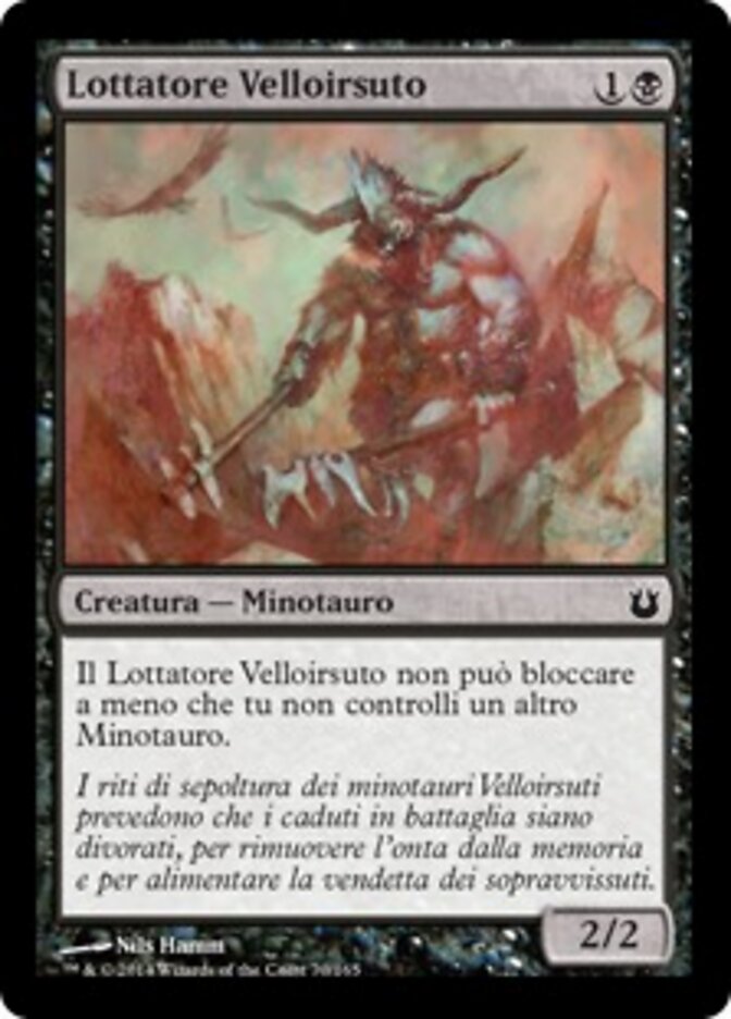 Lottatore Velloirsuto