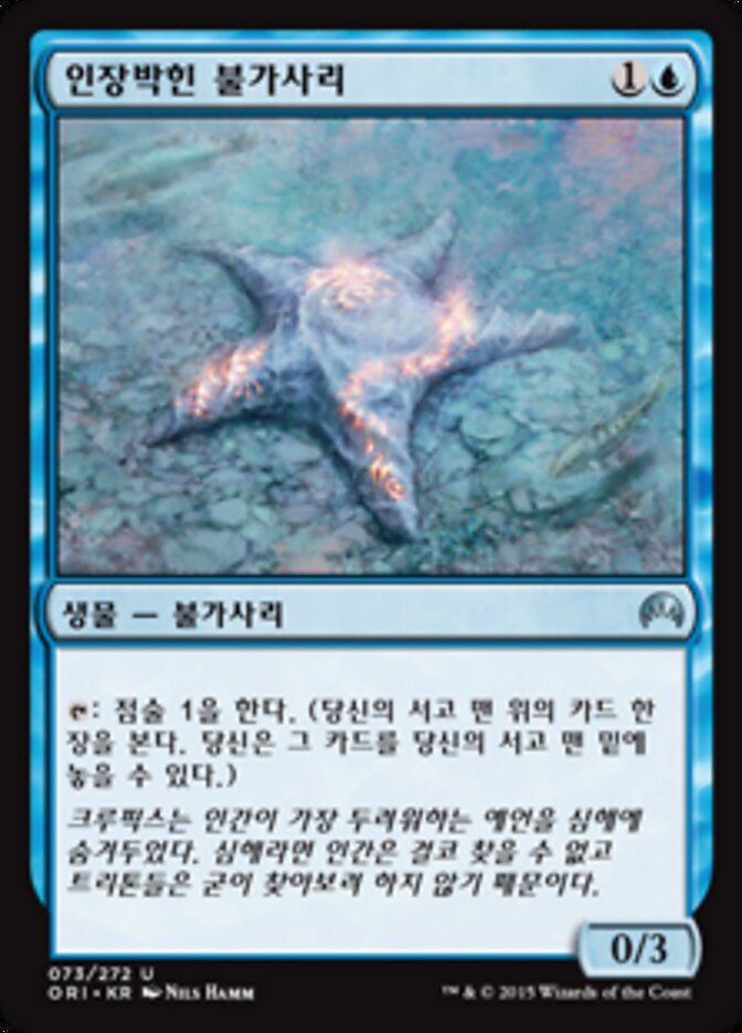 인장박힌 불가사리