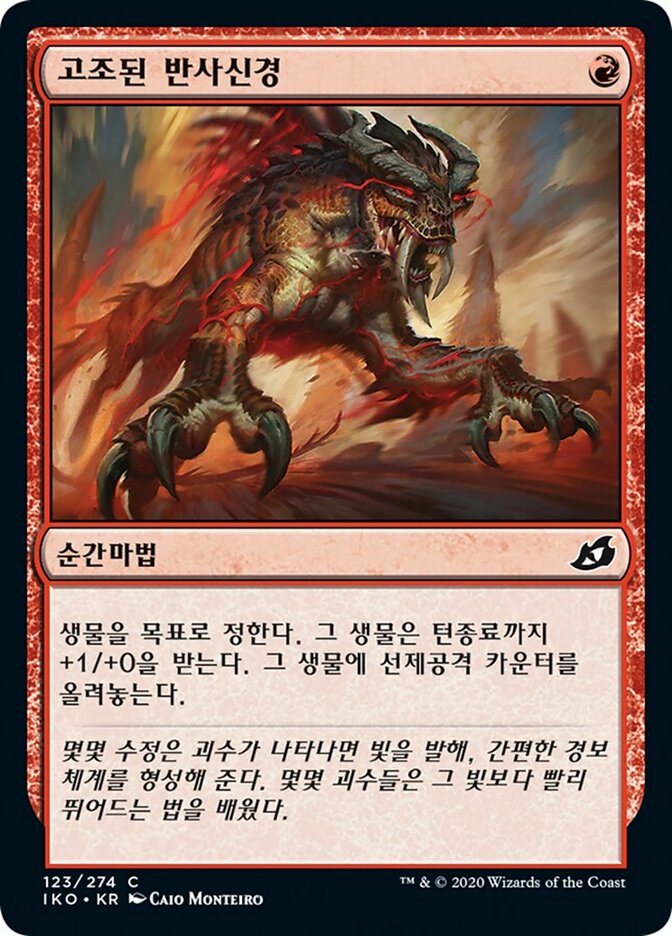 고조된 반사신경