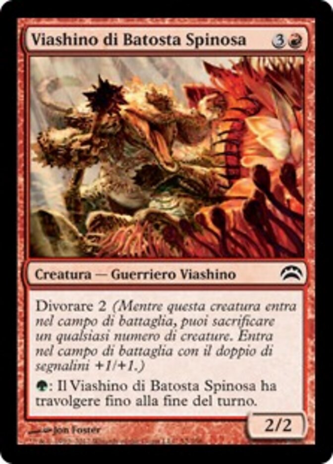 Viashino di Batosta Spinosa