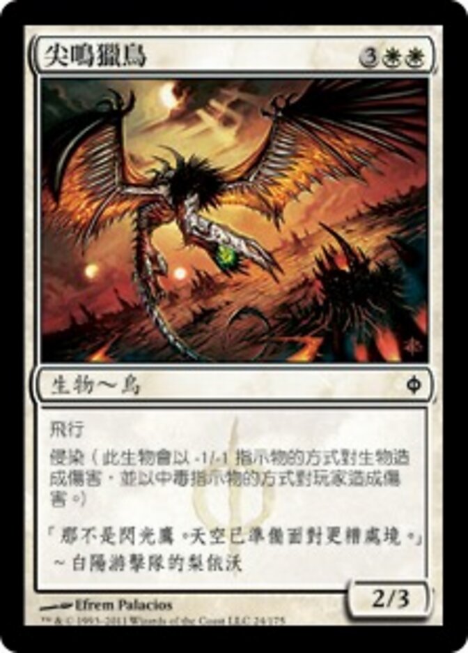 尖鳴獵鳥