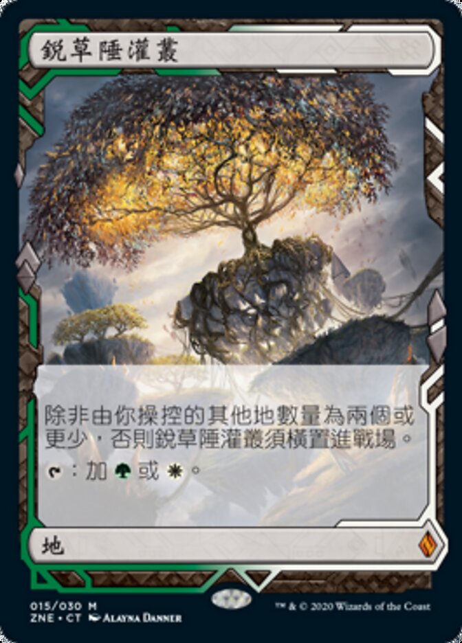 銳草陲灌叢