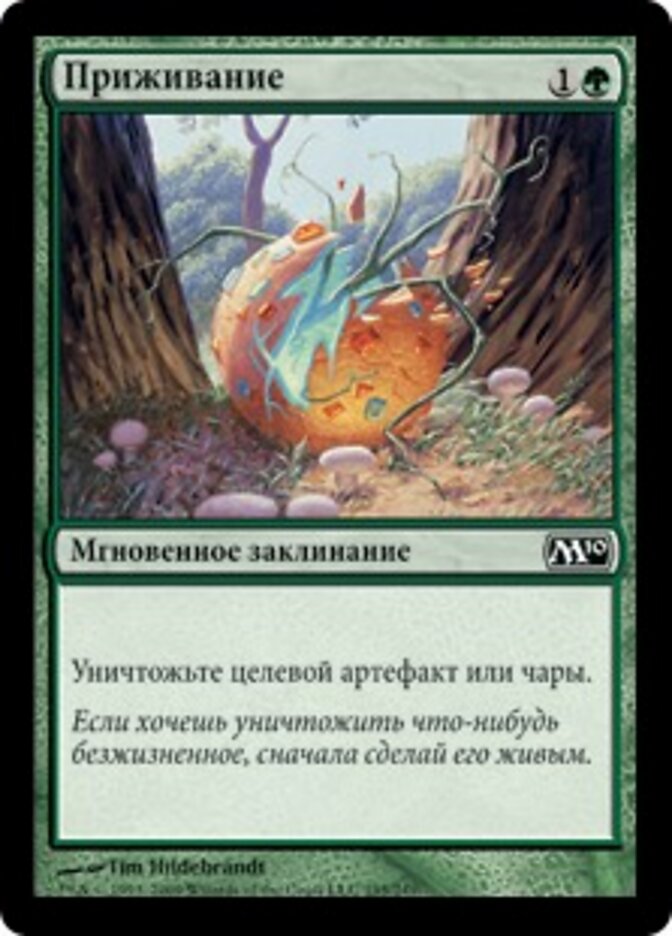 Приживание