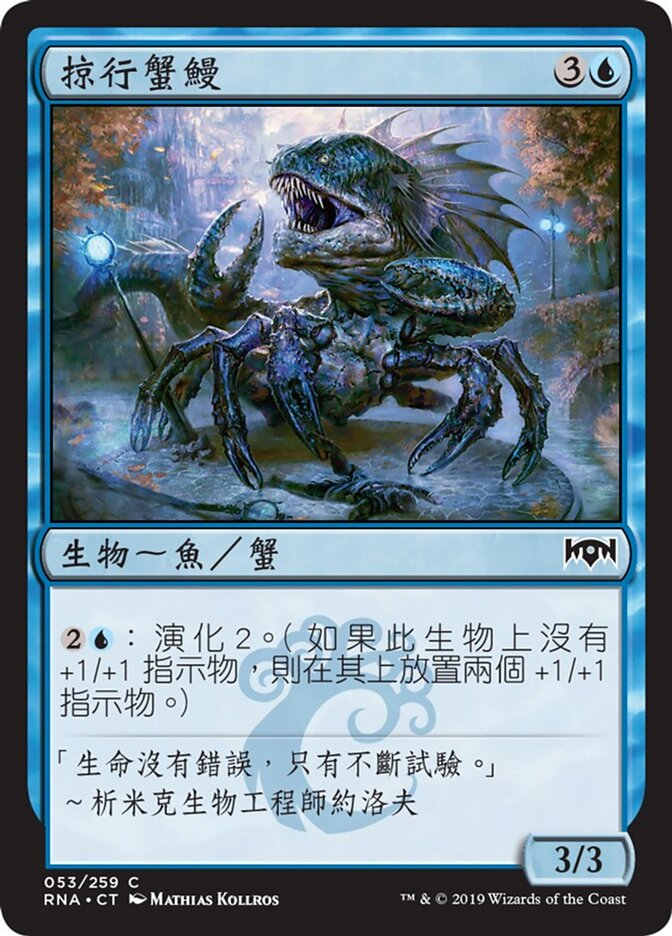 掠行蟹鰻