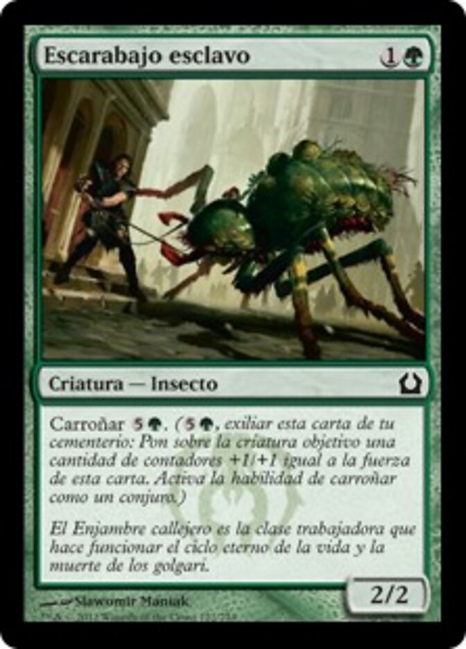 Escarabajo esclavo