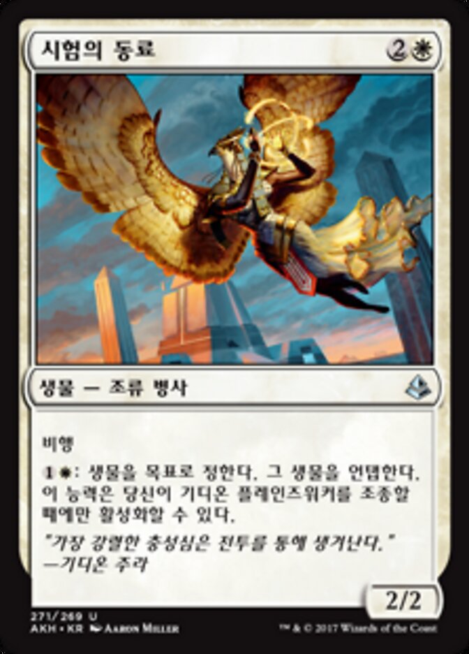 시험의 동료