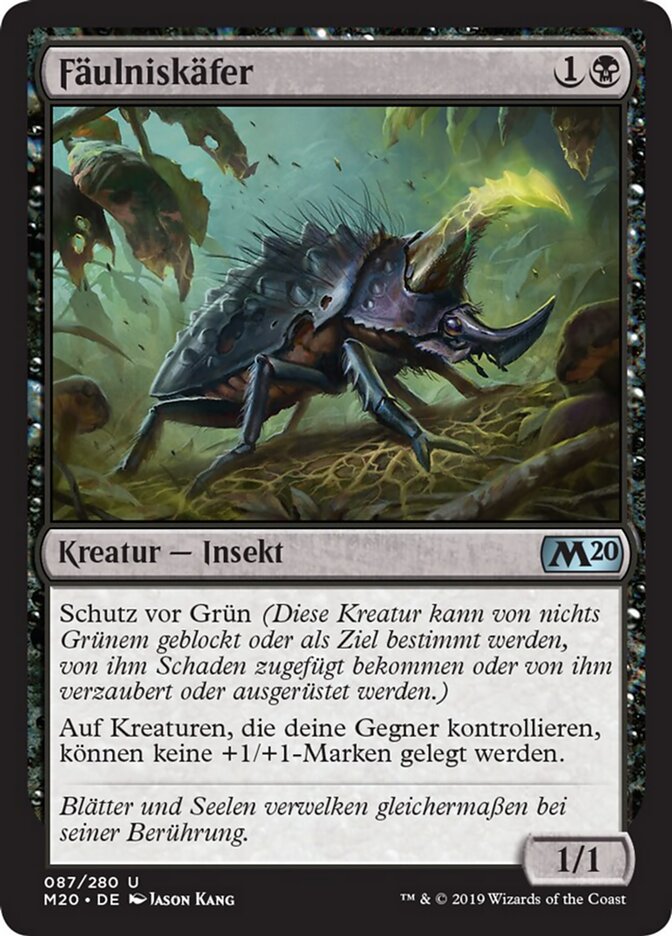 Fäulniskäfer