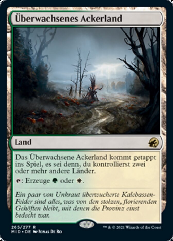 Überwachsenes Ackerland