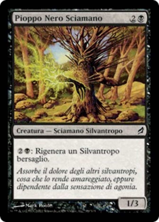 Pioppo Nero Sciamano