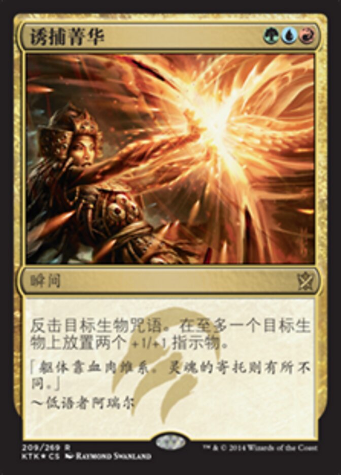 诱捕菁华