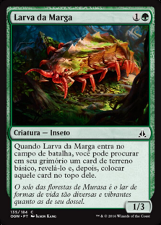 Larva da Marga