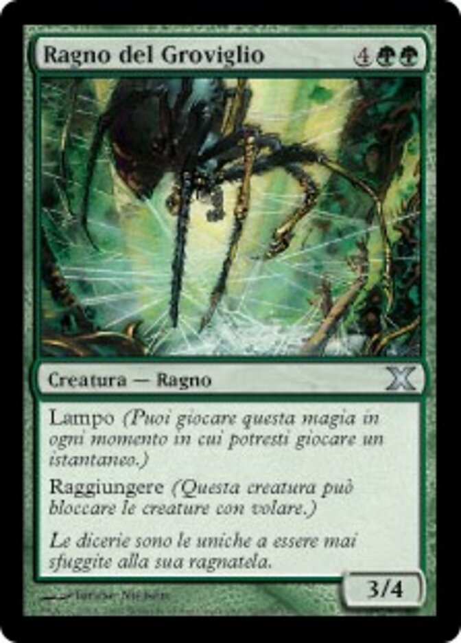 Ragno del Groviglio