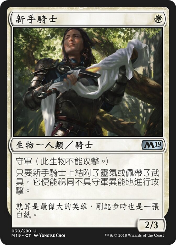 新手騎士